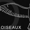 Oiseaux