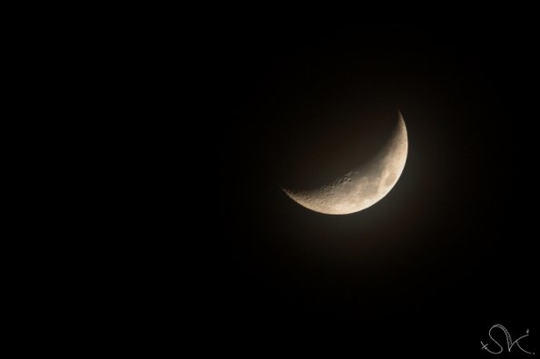 Croissant de lune