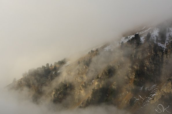 Vallon de l'Orgère