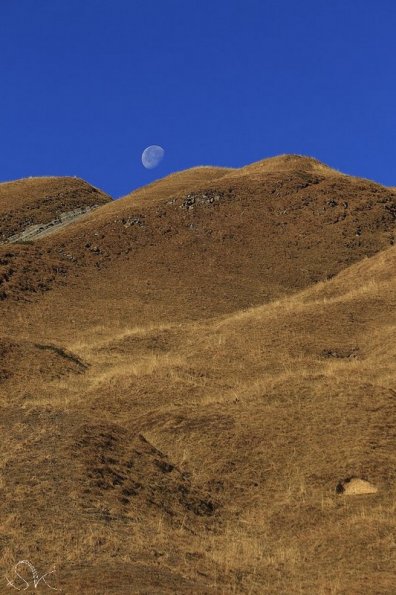 Désert d'altitude