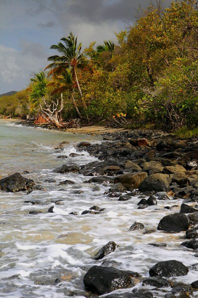 Exotisme (Martinique)