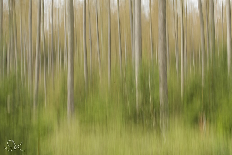 Ma dernière &eacute;motion photo...