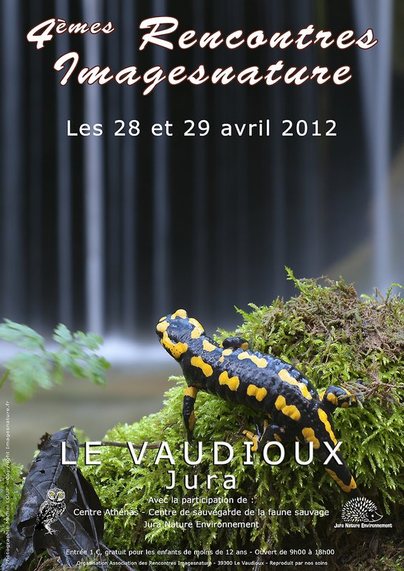 Site de rencontre belge forum